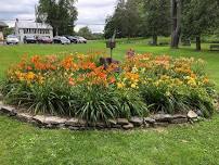 7th Annual Schoharie Lily Festival