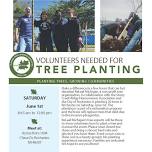 Tree Planting in Rochester