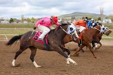 Pocatello Downs at the Bannock County Event Center - Hawaiian Shirt Day! 