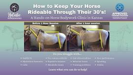 Learn Equine Remedial Therapy to Save on Vet Bills | Hands-On Horse Bodywork Clinic in Kansas