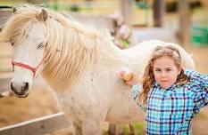 horse day camps