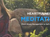 Learn Heart based Meditation    on Sundays in VA