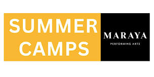 Musical Theatre Summer Camp!