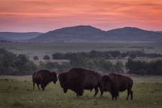 Wichita Mountains Summer Photo Retreat