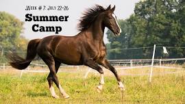 Summer Horse Camp: Week #7