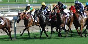 Evening Racing -Thursday 12 December