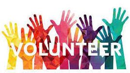 VolunTEEN/ VolunTWEEN Program