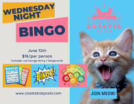 Wednesday Night Bingo at Coastal Cat Cafe