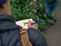 Forage and Cook - Lake District