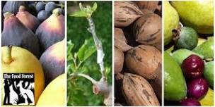 Fruit & Nut Growing 1-day Workshop