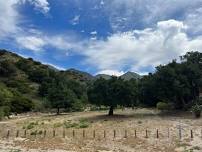 Rosemont Preserve Open Gate