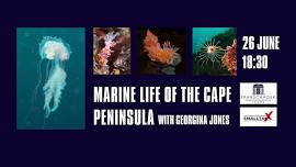 Marine Animals of the Cape Peninsula with Georgina Jones @ the Franschhoek Theatre