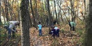 Monthly Buckthorn Removal