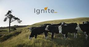 Rural Coach Ignite Leadership Programme - Ashburton