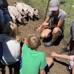 Farmer for a Day at TFI