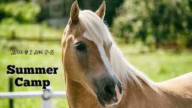 Summer Horse Camp: Week #2