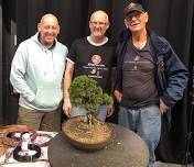 Blackmore Vale Bonsai Group meeting