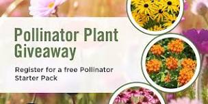 Brampton Residential Pollinator Plant  Giveaway