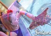 SeaQuest Interactive Aquarium-child/student