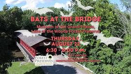 Bats at the Bridge