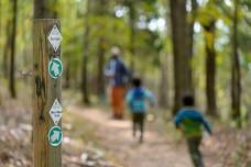 Hike at Blevins Gap North