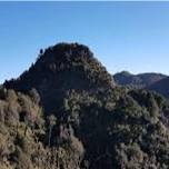 Sentinel Rock Lookout Track in the Bay of Plenty  (Kamai Ranges Park)