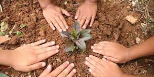 Cochrane Youth Garden Club