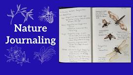 Nature Journaling 2024