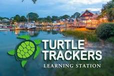 Salty Dog - Turtle Trackers Learning Station — Turtle Trackers