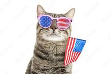 Memorial Day Cat Adoptions