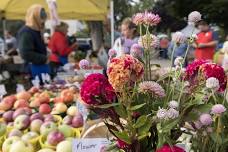 St. Joe Farmers Market