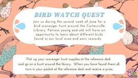 Bird Watch Quest