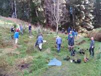 Dunedin: Restoration planting at Tirohanga Camp