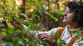 Walking with Spring - Naturalist Walk