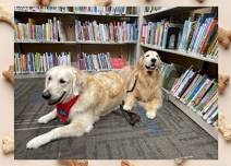 Reading With Pet Partners - Paws to Read