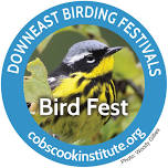 Downeast Spring Birding Festival 2024 – DLLT Open House