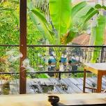 Wise Woman Yoga & Wellbeing Retreat. Ubud, Bali.