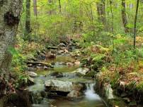 Valley Forge Hills and Trails