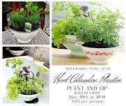 Plant and Sip: Herb Colander Planter