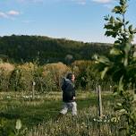 Orchard & Cidery Tour With Tasting (Copy) (Copy) — Seminary Hill