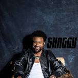 Shaggy