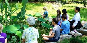 Cool & Fun Children’s Dharma Camps I & II (ages 6-12)