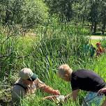 Insectigations OLC Day Camp (7 & 8 years old)