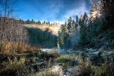 WildLens of Whatcom Land Trust Workshop