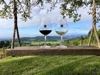 Youngberg Hill Vineyard Wine Wednesday — SABROSO