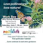 Pollinator Habitat Planting