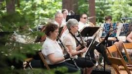 Orchestra in the Pines