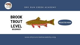 Brook Trout Level | Beginner