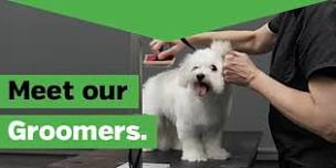 Meet the Experts - Groomer Edition