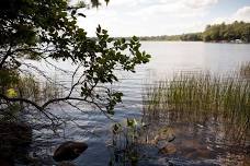 Summer Naturalist Series at Fields Pond: Pond Ecology